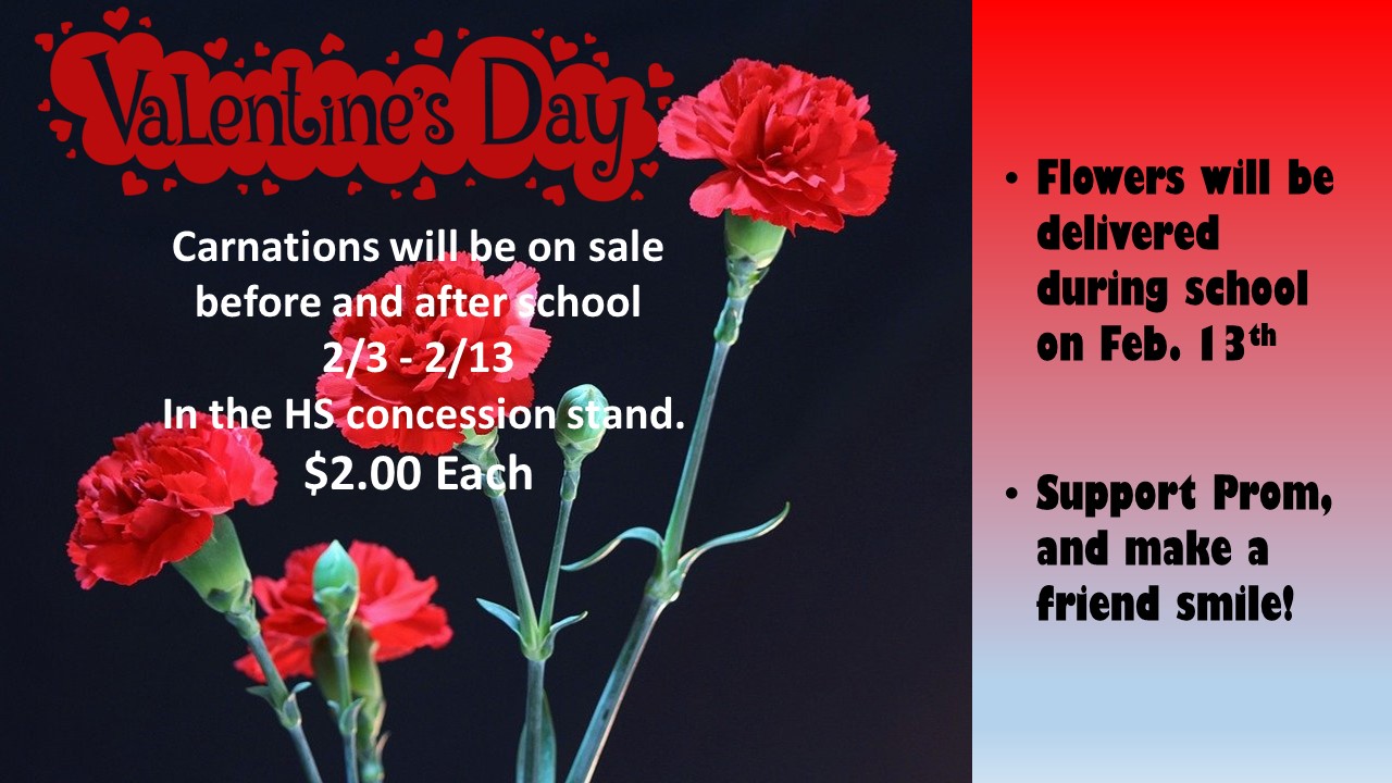 red carnations and valentine's day